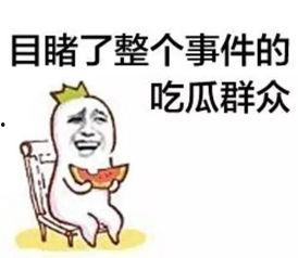 资深娱乐吃瓜群众