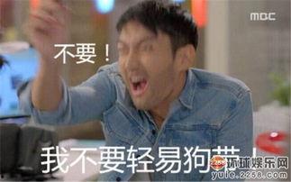 颠覆形象表情包,表情包中的幽默魅力